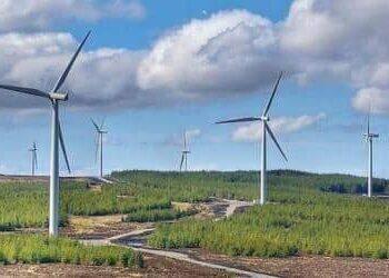 Dự án năng lượng tái tạo ngóng giá mới