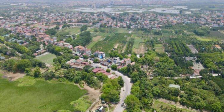 Huyện Phúc Thọ tổ chức đấu giá hơn 120.000m2 đất sản xuất nông nghiệp