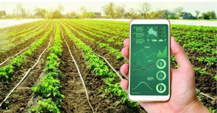 Cuộc cách mạng cải thiện hiệu suất nông nghiệp bằng dữ liệu vệ tinh