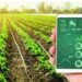 Cuộc cách mạng cải thiện hiệu suất nông nghiệp bằng dữ liệu vệ tinh