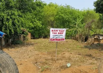Bất động sản bán tháo bị ép giảm nửa giá