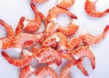 CMX kỳ vọng lãi trên trăm tỷ đồng, hướng tới xuất khẩu đạt 100 triệu USD
