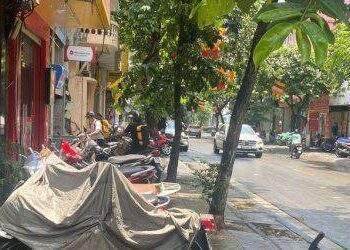 Cần giải pháp căn cơ
