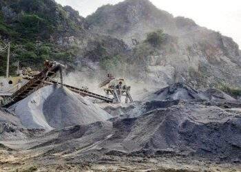 DHA trả cổ tức còn lại 2022 bằng tiền tỷ lệ 20% 