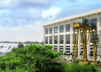 DRL sắp trả cổ tức đợt cuối 2022, tỷ lệ 16% bằng tiền