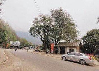 Đề xuất đầu tư 1.070 tỷ đồng nâng cấp, mở rộng 20 km Quốc lộ 15