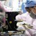 Foxconn tăng tiền thưởng 'lôi kéo' công nhân sản xuất iPhone 15