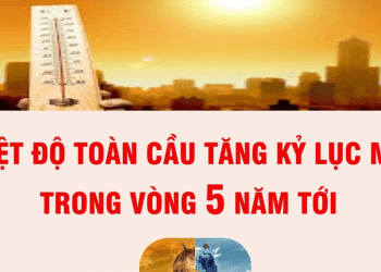 Nhiệt độ toàn cầu dự báo tăng lên kỷ lục mới trong vòng 5 năm tới