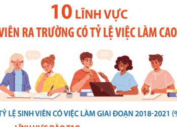 Top 10 lĩnh vực sinh viên ra trường có tỷ lệ việc làm cao nhất