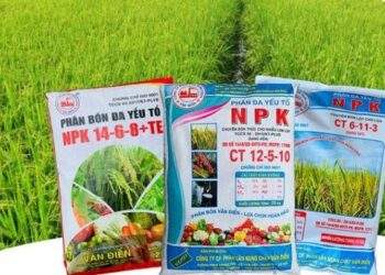 VAF sắp chi gần 34 tỷ đồng trả cổ tức năm 2022