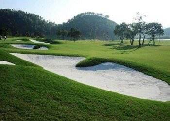 Chủ sân golf Hoàng Gia ước lỗ gần 14 tỷ đồng năm 2023, đề xuất hủy tư cách công ty đại chúng