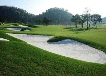 Chủ sân golf Hoàng Gia ước lỗ gần 14 tỷ đồng năm 2023, đề xuất hủy tư cách công ty đại chúng