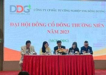 ĐHĐCĐ DDG: Kế hoạch giảm lãi gần 73%, chào bán 20 triệu cp để trả nợ ngân hàng