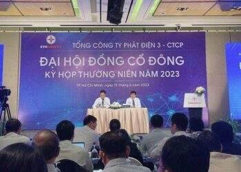 ĐHĐCĐ PGV: Nâng cổ tức 2022 lên 20%, triển khai mua khí 10 năm với GAS