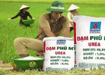 DPM đứng thứ 2 trong “Bảng xếp hạng công ty đại chúng uy tín và hiệu quả năm 2023”