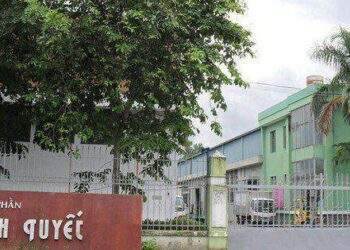 Dệt may Gia Định thoái hết vốn khỏi Bông Bạch Tuyết sau gần 20 năm