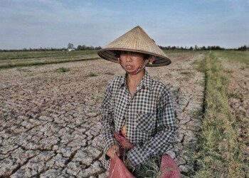 El Nino đã xuất hiện
