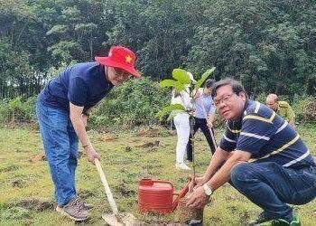 Hội Nhà báo Việt Nam bắt đầu Chương trình phủ xanh 3,4 ha rừng ở Bình Phước