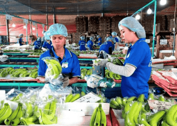 Lãi tháng 5 của HAG đạt 82 tỷ đồng, gấp 2.5 lần tháng trước