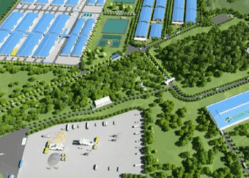 Một doanh nghiệp xin xây nhà cao tầng để nuôi heo ở Thanh Hóa