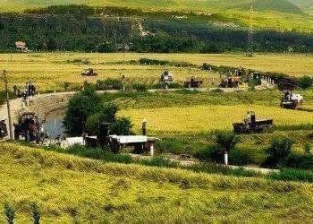 Phú Yên phê duyệt dự án nông nghiệp khép kín của Công ty Trung An