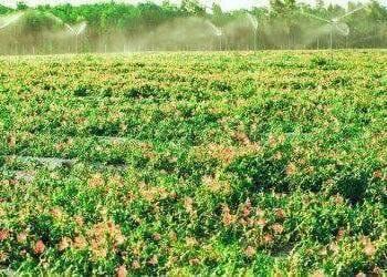 Quảng Bình ưu tiên thu hút đầu tư vào các lĩnh vực có tiềm năng, lợi thế