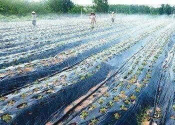 Quảng Bình xây dựng “bệ đỡ” nông nghiệp công nghệ cao