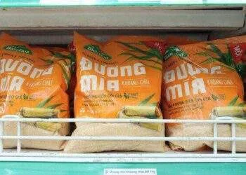 SBT chốt quyền phát hành hơn 67 triệu cp trả cổ tức