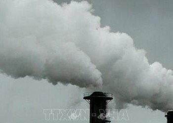 Sáng kiến toàn cầu về minh bạch tín chỉ carbon