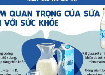 Tầm quan trọng của sữa đối với sức khỏe