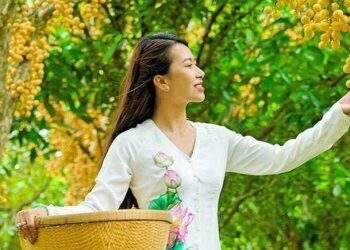Thiên Cấm Sơn vào mùa cây trái xum xuê