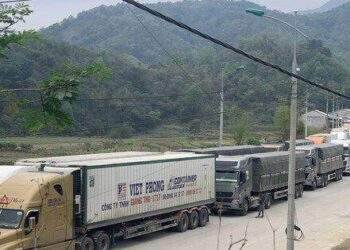 Thủ tướng chỉ đạo cấp bách giảm ùn ứ nông sản ở biên giới phía bắc