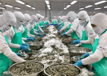 VNDirect: Kim ngạch xuất khẩu thủy sản sang Mỹ có thể tăng 40-50% trong nửa cuối 2023