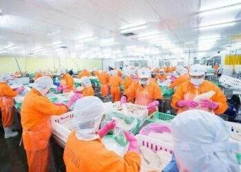 ANV có quý lỗ đậm nhất kể từ 2016