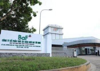 BAF giảm mạnh lợi nhuận quý 2 dù giá heo trên đà hồi phục