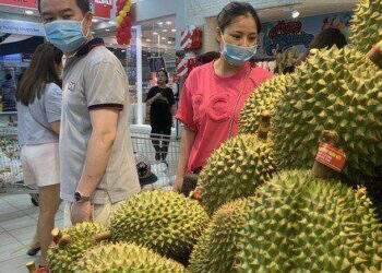 Bộ NN-PTNT yêu cầu siết chặt kiểm dịch trái cây xuất khẩu sang Trung Quốc