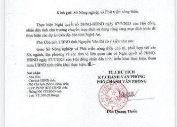 Chuyển mục đích sử dụng rừng sang mục đích khác
