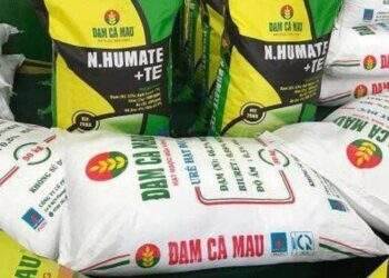 Đạm Cà Mau rơi 72% lãi ròng quý 2, giữ hơn 10 ngàn tỷ đồng tiền mặt
