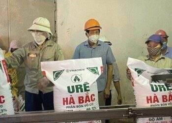 Đạm Hà Bắc lỗ 350 tỷ trong quý 2, vay nợ ngắn hạn gần 1,600 tỷ đồng