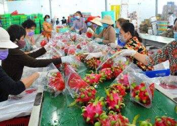 Dự báo những nông sản tăng tốc xuất khẩu 6 tháng cuối năm