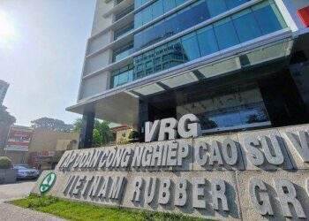 GVR lãi ròng quý 2 chỉ hơn một nửa so với cùng kỳ