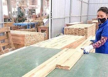 Gỗ Thuận An ước lãi trước thuế hơn 5 tỷ sau nửa năm, đạt 50% kế hoạch
