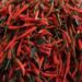 Hàn Quốc kiểm tra dư lượng 7 hoạt chất bảo vệ thực vật trên ớt của Việt Nam