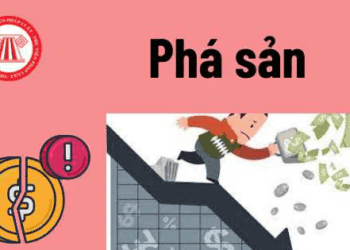 Hãng hàng không nộp đơn xin phá sản khi nào?