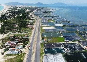 Hình thành quy hoạch Trung tâm cảng biển Đầm Môn và Khu đô thị Cổ Mã