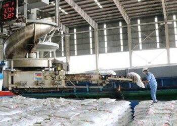 Kiên trì “mục tiêu kép”, PVCFC hoàn thành vượt mức chỉ tiêu sản xuất kinh doanh