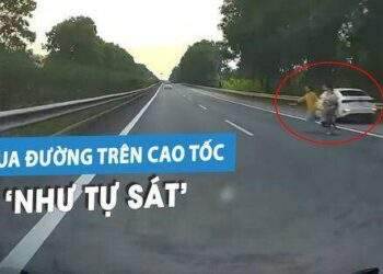 Kinh hoàng người phụ nữ dắt 3 trẻ em băng qua cao tốc, suýt gây tai nạn