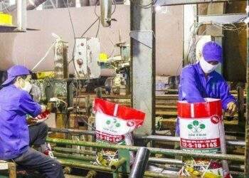 Lãi quý 2 của LAS vượt 20% cùng kỳ