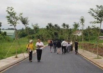 Nhiều địa phương 'cởi trói' cho phân lô tách thửa