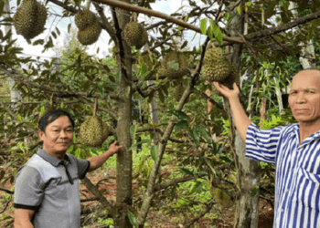 Những thương binh vượt khó, làm kinh tế giỏi